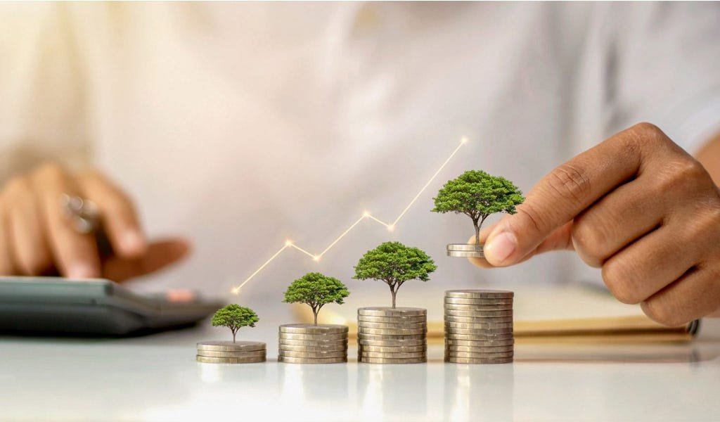 Budget Considerations and Financing Options