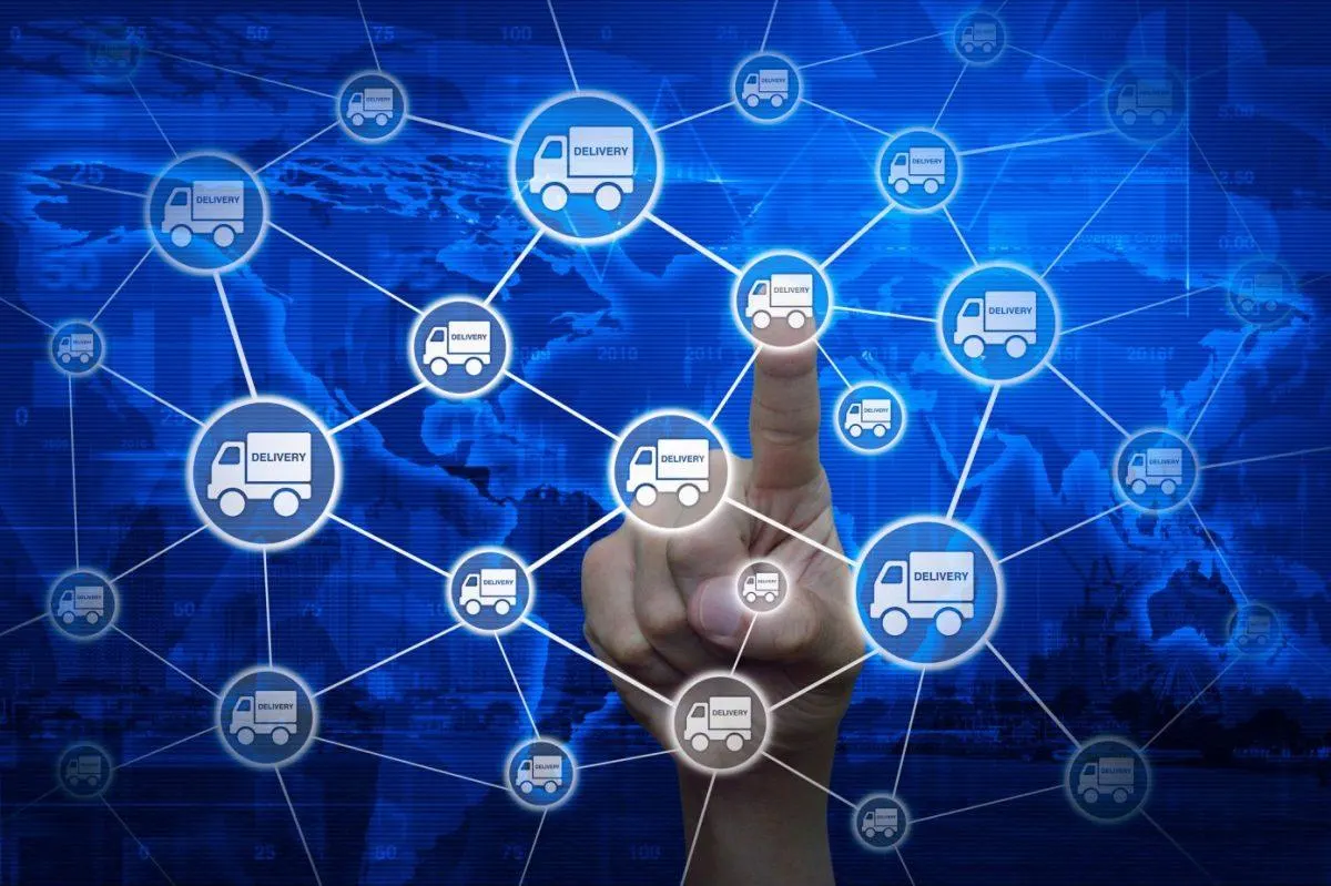 On-Chain Metrics and Blockchain Transparency