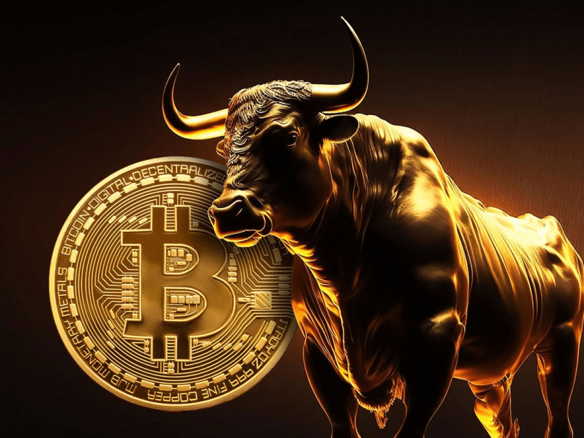 Risks and Warning Signs for the Bull Case