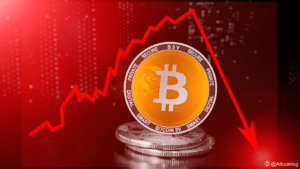 Bitcoin Fall Phase
