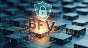 BFV Brings FHE to Blockchain
